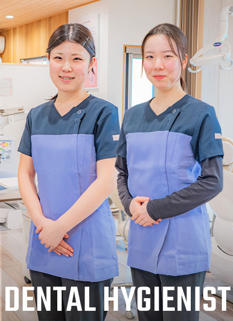 新人さんの声